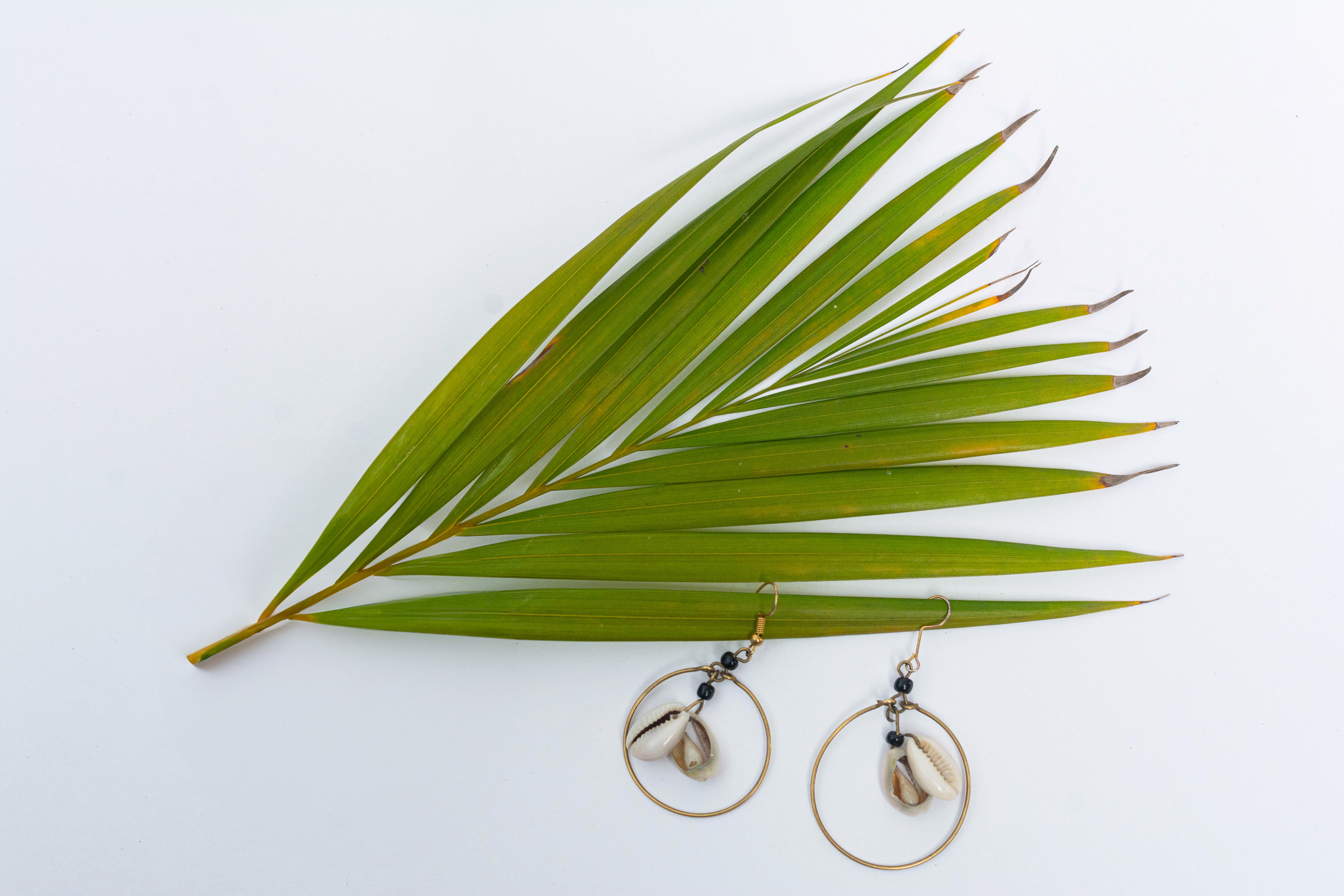 COWRIE SHELL NECKLACE, BRACELET & EARRINGS JEWELRY SET MADE IN KENYA