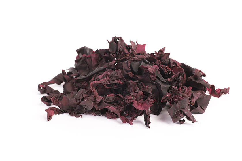 Wild Crafted Dulse C/S