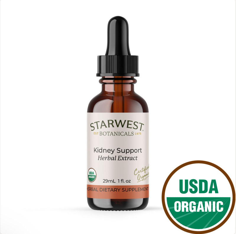 Organic Kidney Support Extract Tincture