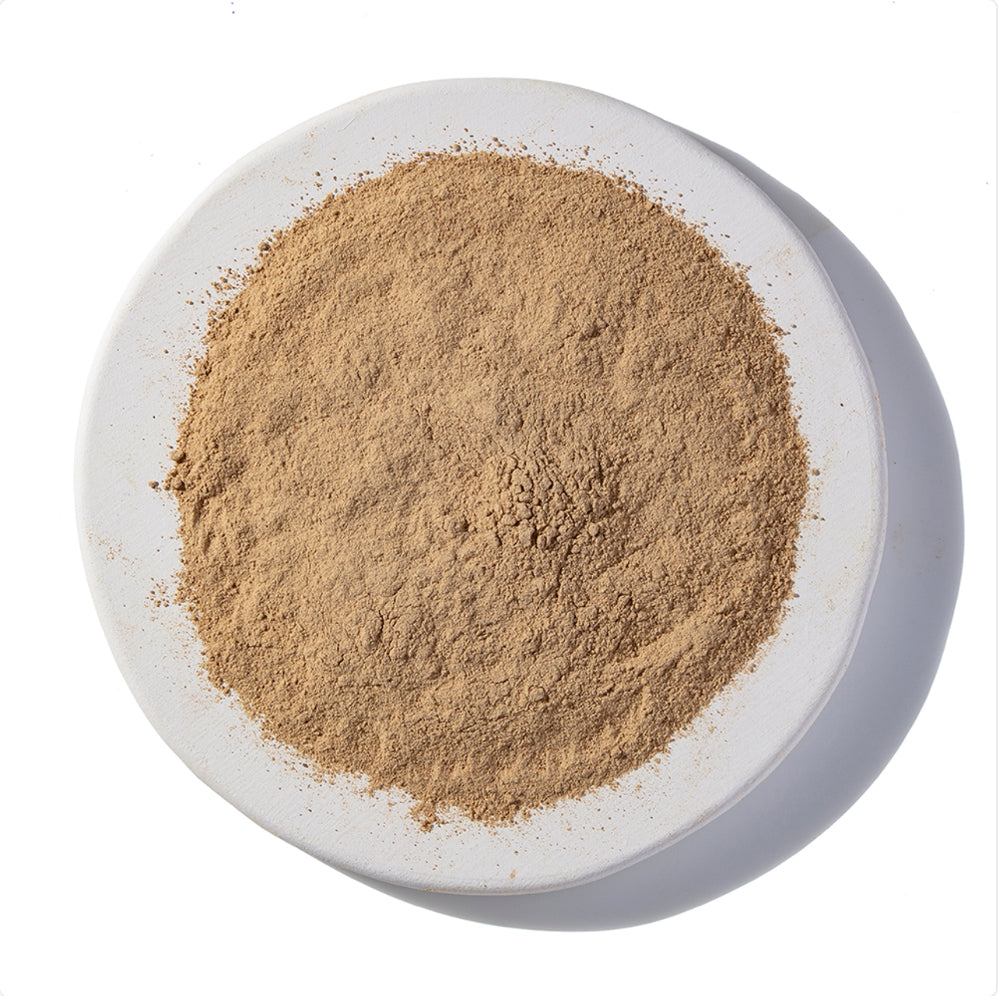 Organic Shiitake Powder