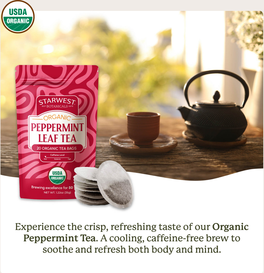 Organic Peppermint Tea Bags-20 & 100 Tea Bag Pouches - Kulcha Kernel