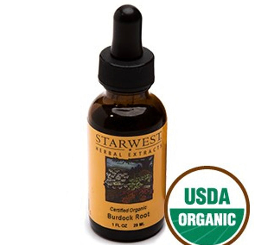 Organic Burdock Root Extract - Kulcha Kernel