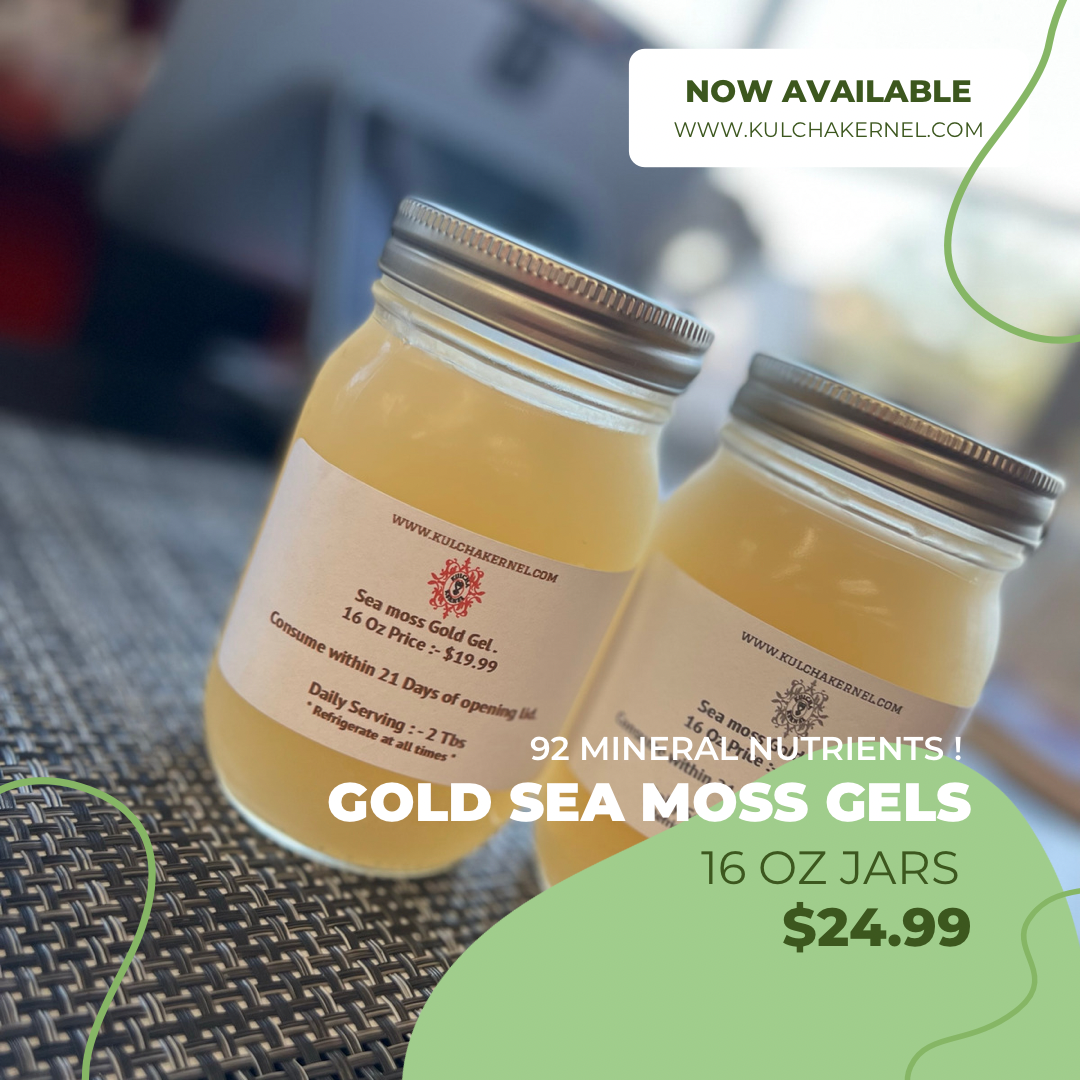 100% Wild Crafted Sea Harvested Sea Moss Gold Gel (16 Oz/ 1 Pint ) - Kulcha Kernel